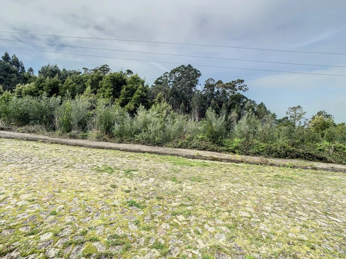 Terreno para Venda em Moledo e Cristelo Foto 8
