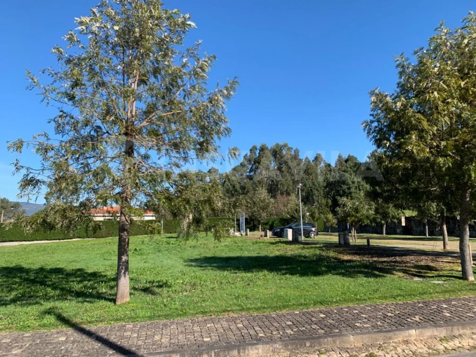 Terreno para Venda em Seixas Foto 17