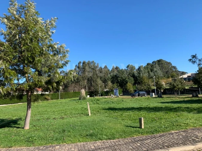 Terreno para Venda em Seixas Foto 6