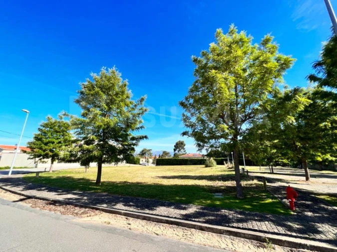 Terreno para Venda em Seixas Foto 13