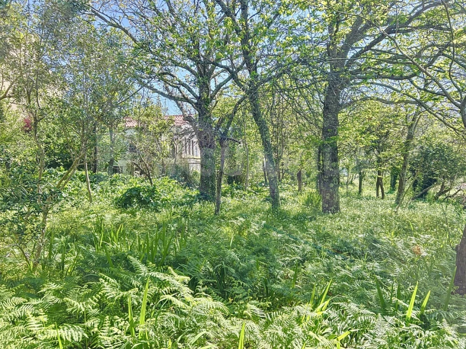 Moradia T3 para Venda em Seixas Foto 15