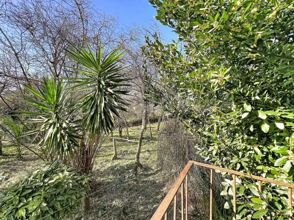 Moradia T3 para Venda em Seixas Foto 15