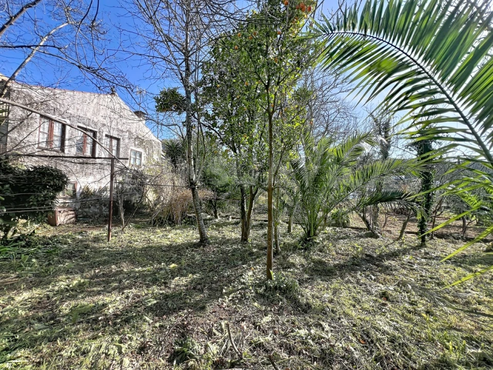 Moradia T3 para Venda em Seixas Foto 11