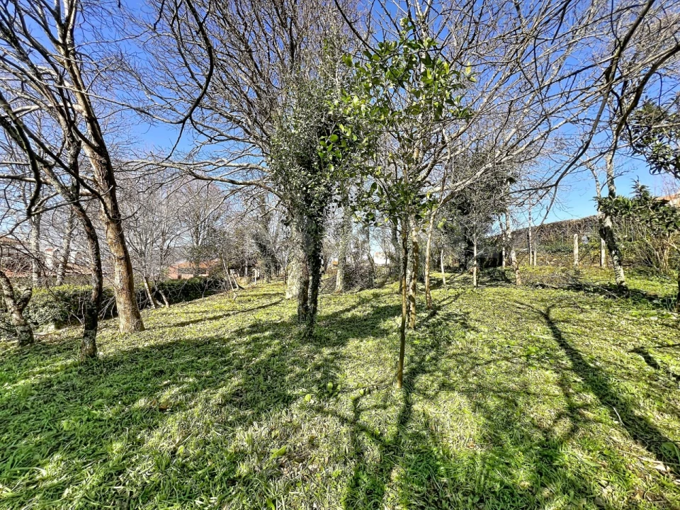 Moradia T3 para Venda em Seixas Foto 17