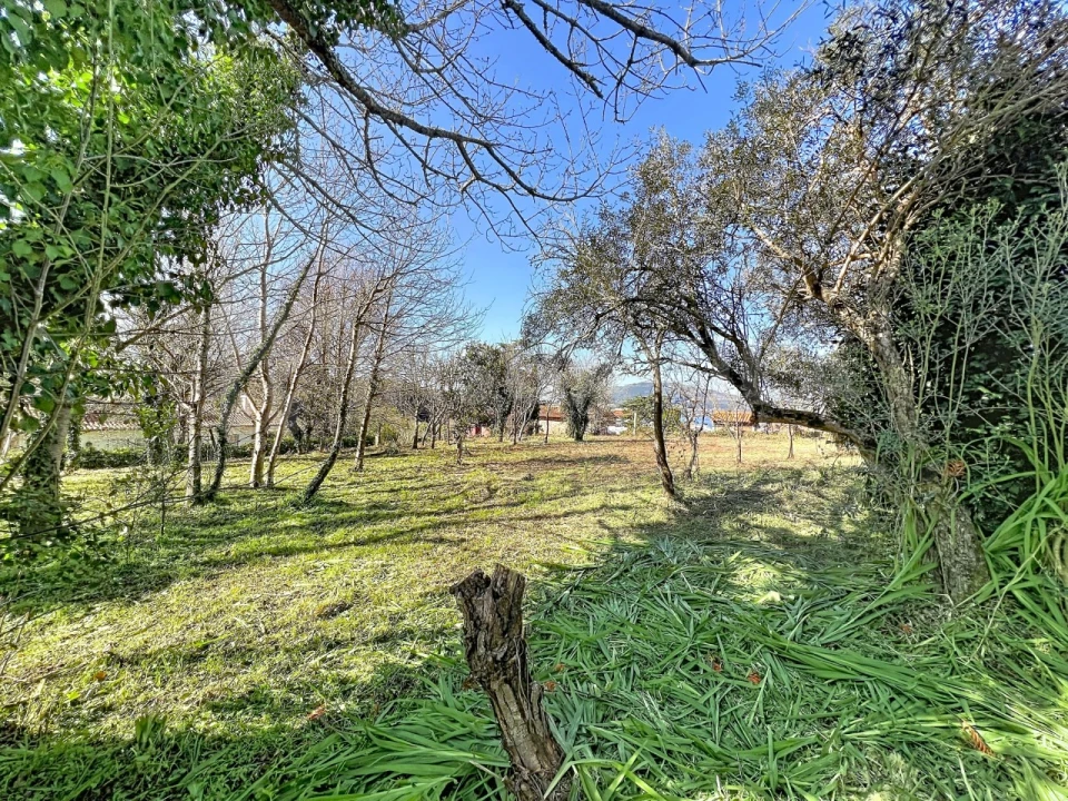 Moradia T3 para Venda em Seixas Foto 22