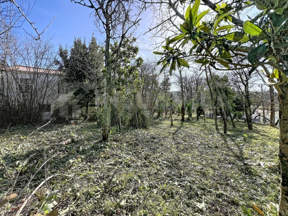 Moradia T3 para Venda em Seixas Foto 24