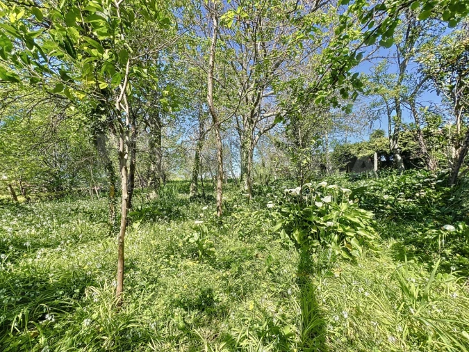 Moradia T3 para Venda em Seixas Foto 13