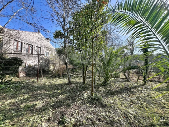 Moradia T3 para Venda em Seixas Foto 11