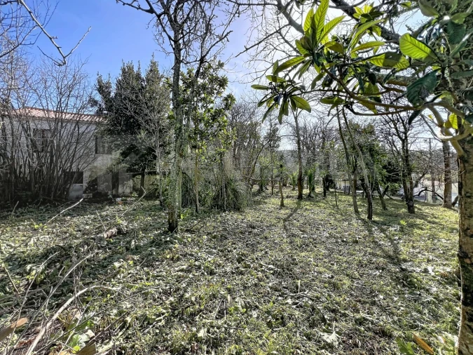 Moradia T3 para Venda em Seixas Foto 24