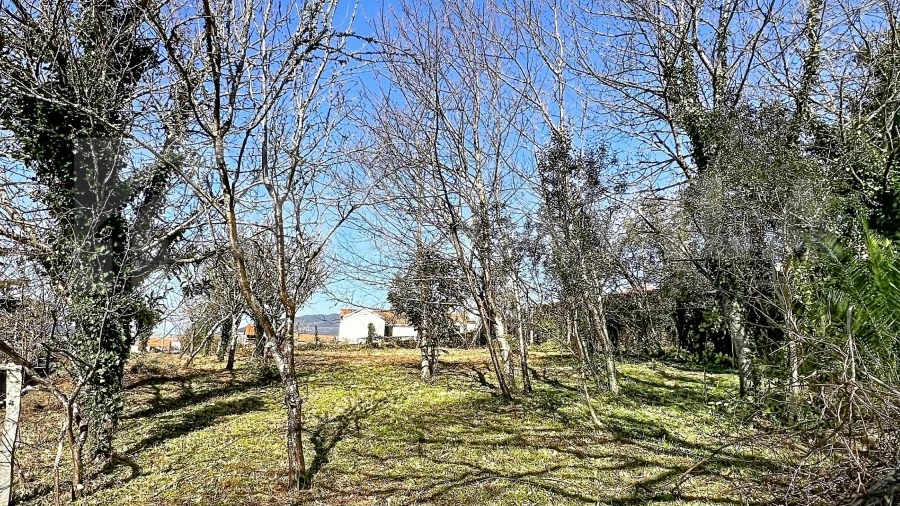 Moradia T3 para Venda em Seixas