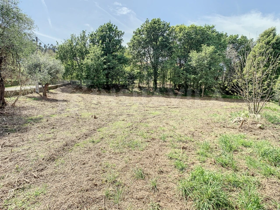 Terreno para Venda em Gondarem Foto 4