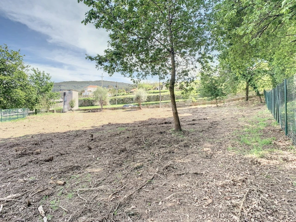 Terreno para Venda em Gondarem Foto 6