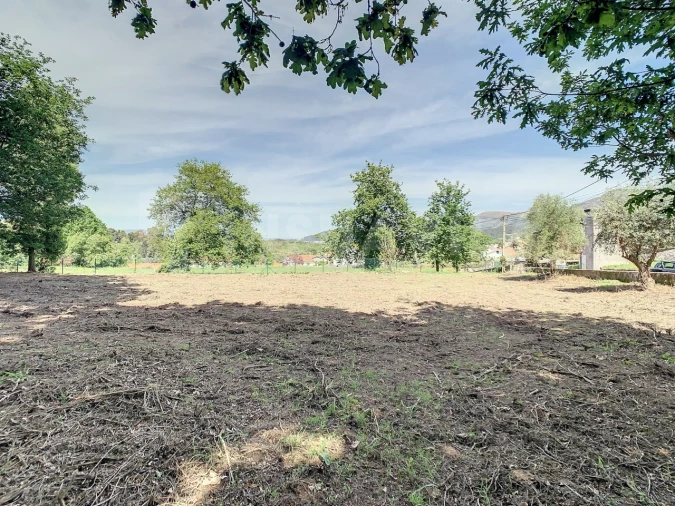 Terreno para Venda em Gondarem Foto 17