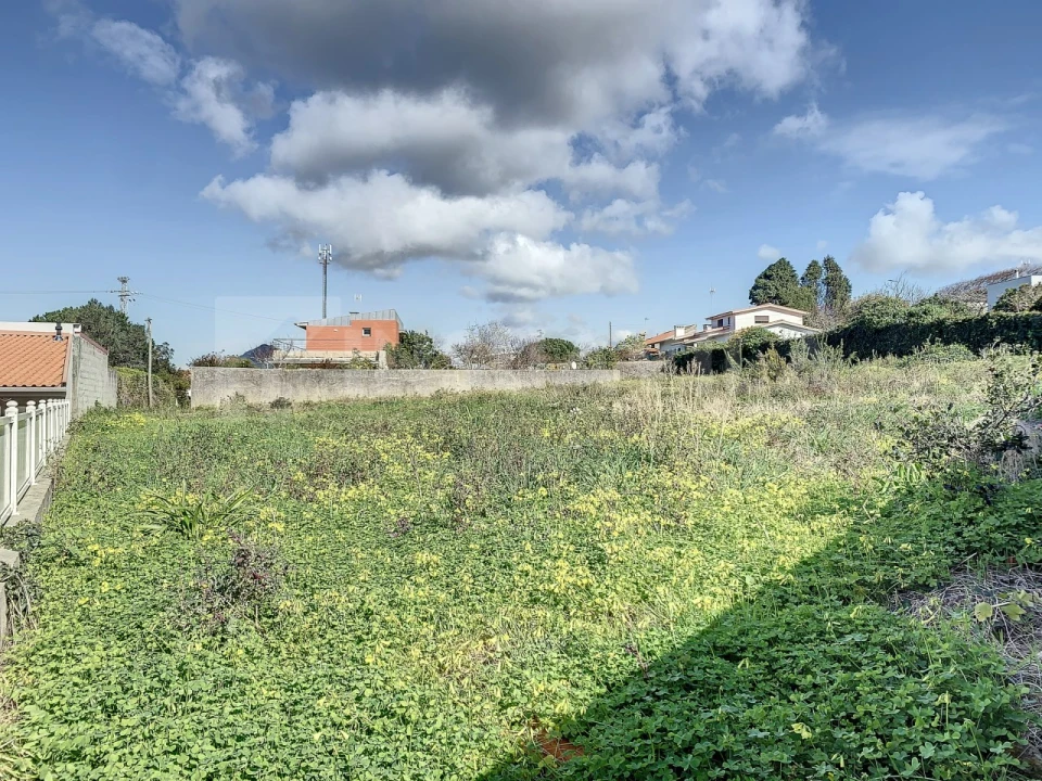 Terreno para Venda em Moledo e Cristelo Foto 7