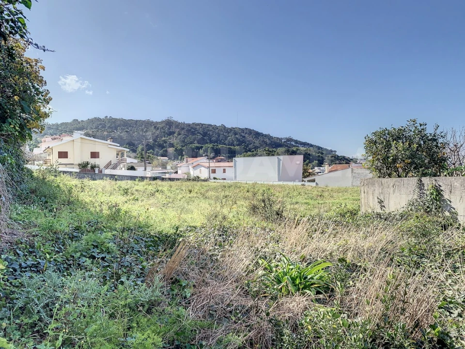 Terreno para Venda em Moledo e Cristelo Foto 9