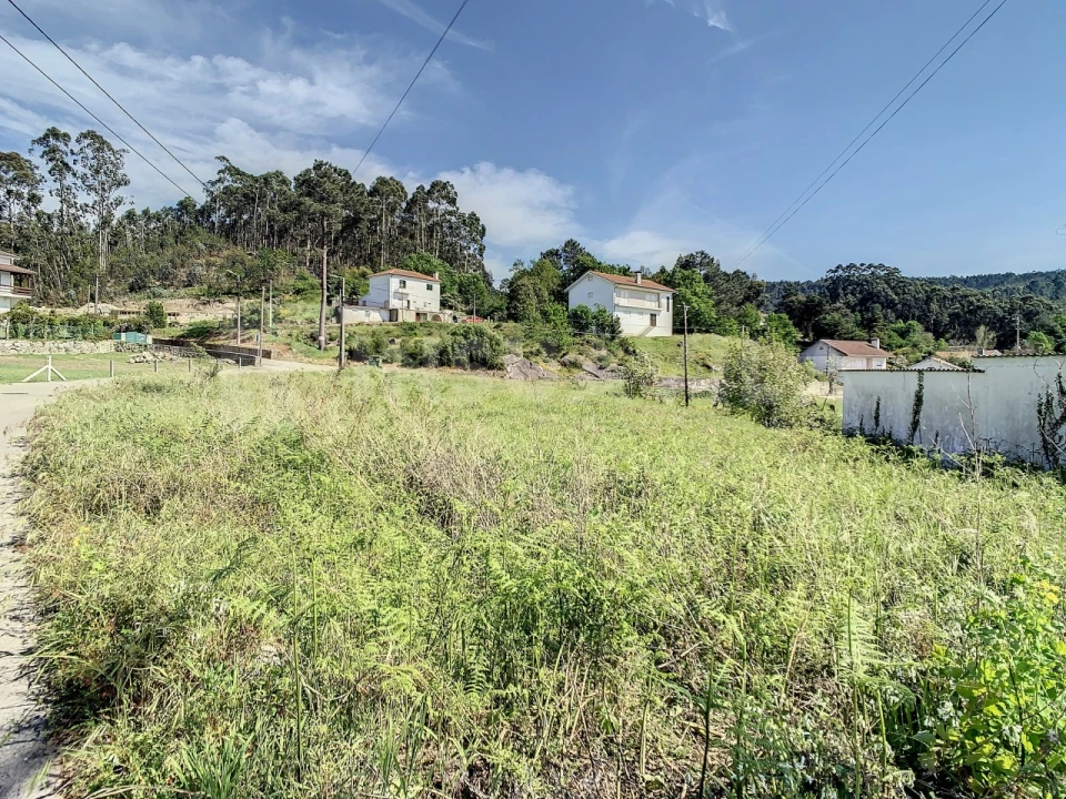 Terreno para Venda em Gondarem Foto 5