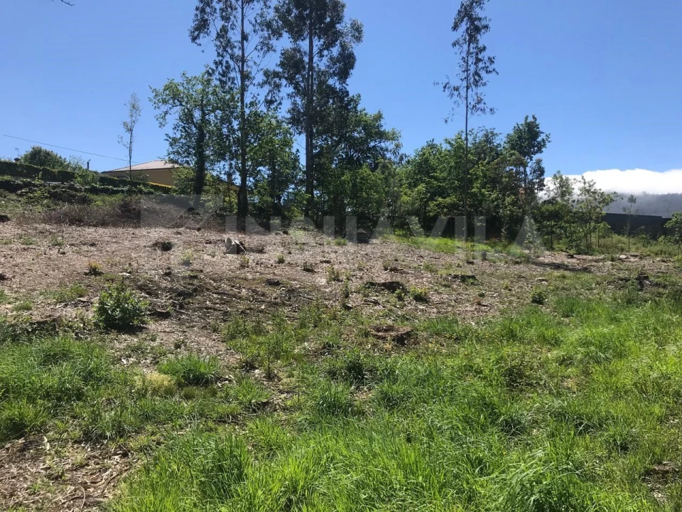 Terreno para Venda em Venade e Azevedo Foto 15