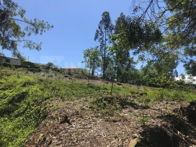 Terreno para Venda em Venade e Azevedo Foto 14