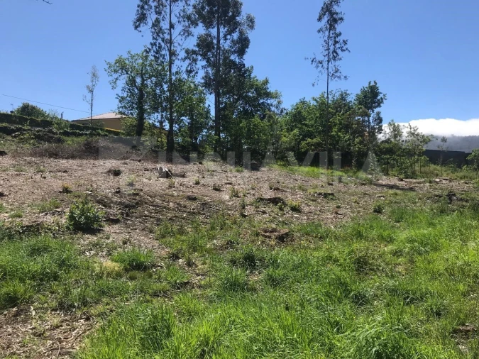 Terreno para Venda em Venade e Azevedo Foto 15
