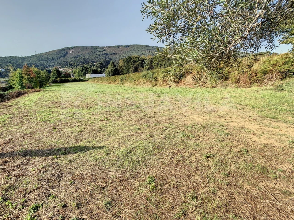 Terreno para Venda em Venade e Azevedo Foto 7