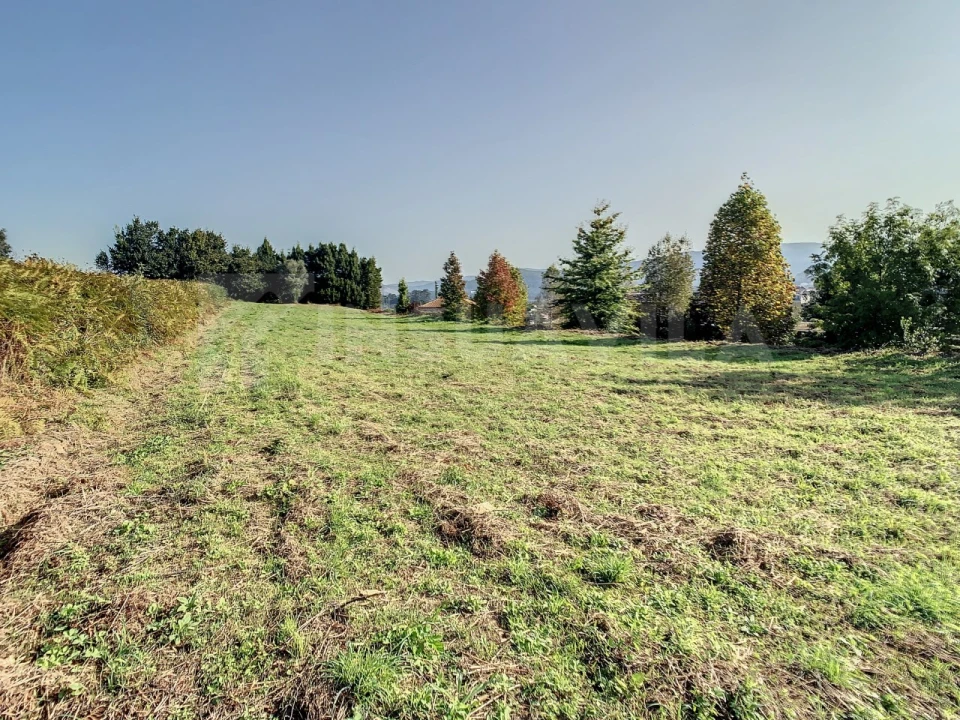 Terreno para Venda em Venade e Azevedo Foto 8