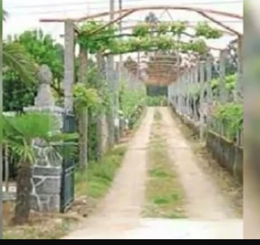 Terreno para Venda em Pinheiros Foto 4