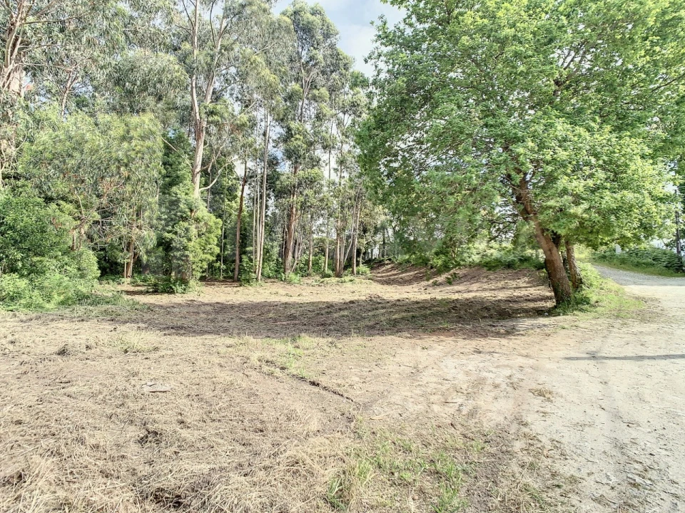 Terreno para Venda em Vilar de Mouros Foto 5