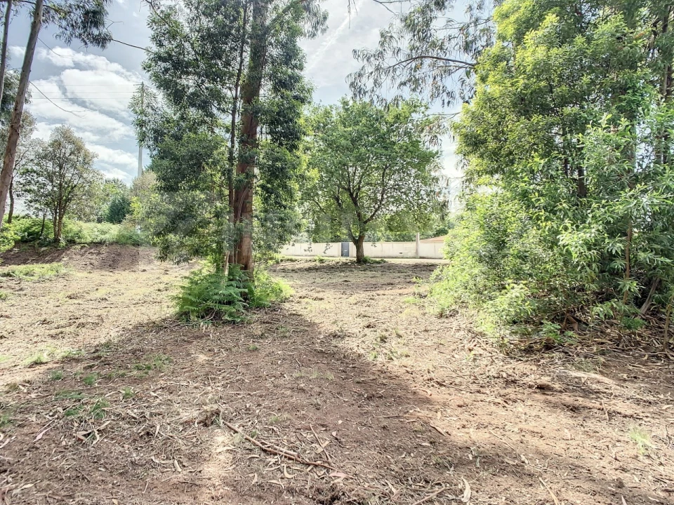 Terreno para Venda em Vilar de Mouros Foto 6