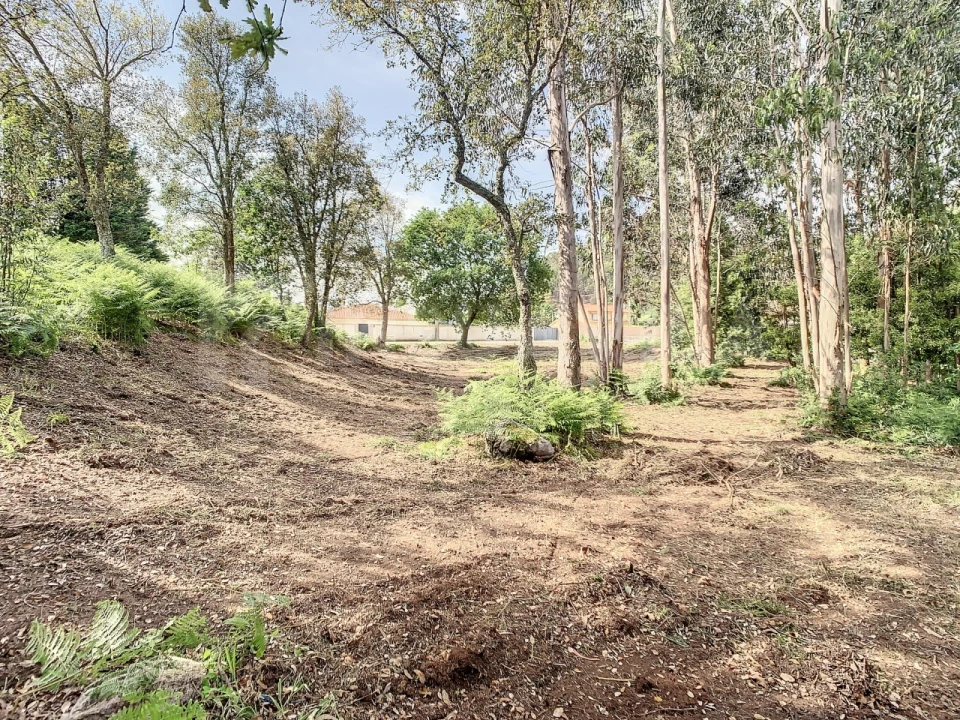 Terreno para Venda em Vilar de Mouros Foto 9