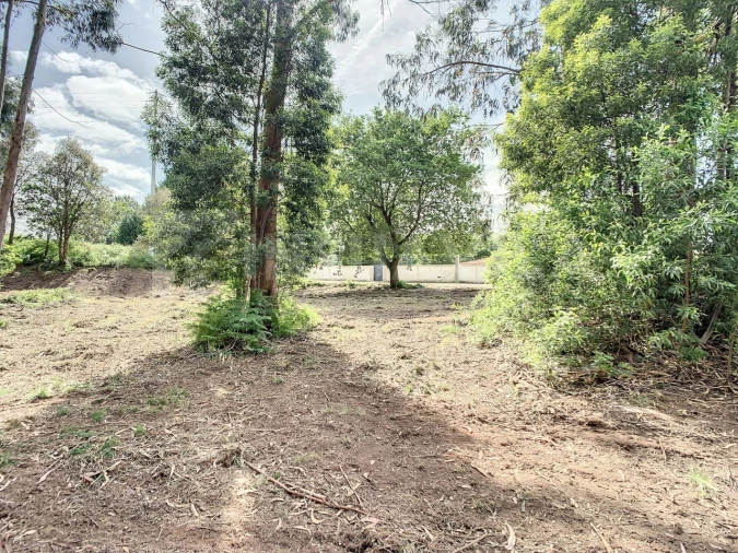 Terreno para Venda em Vilar de Mouros Foto 6