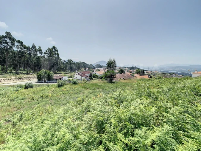 Terreno para Venda em Loivo Foto 9