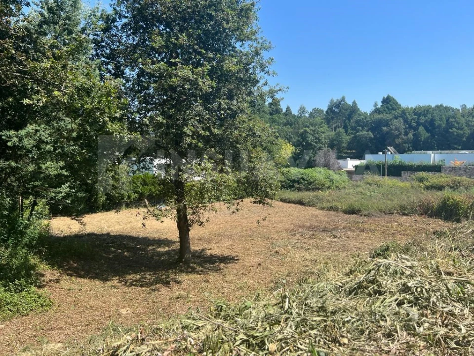 Terreno para Venda em Venade e Azevedo Foto 8