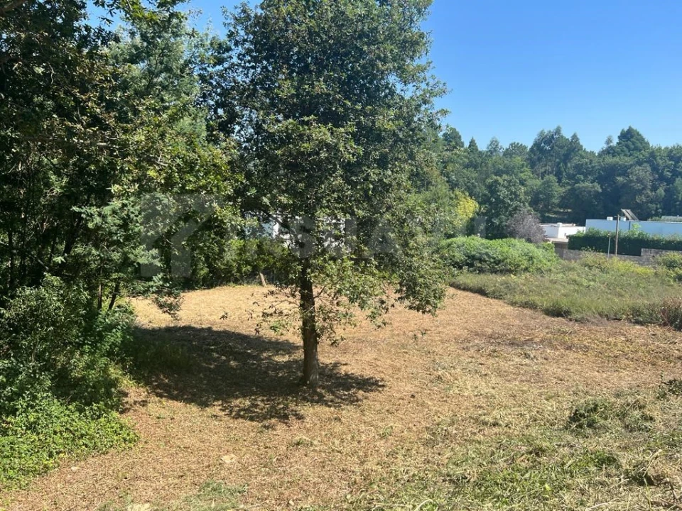 Terreno para Venda em Venade e Azevedo Foto 9