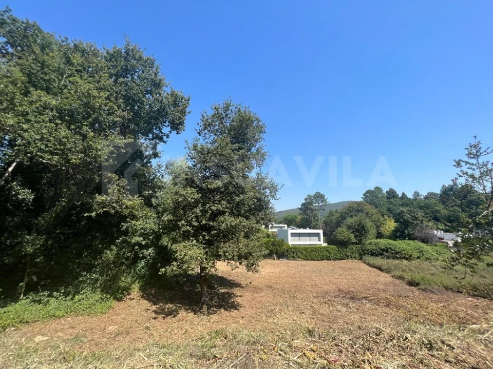 Terreno para Venda em Venade e Azevedo Foto 11