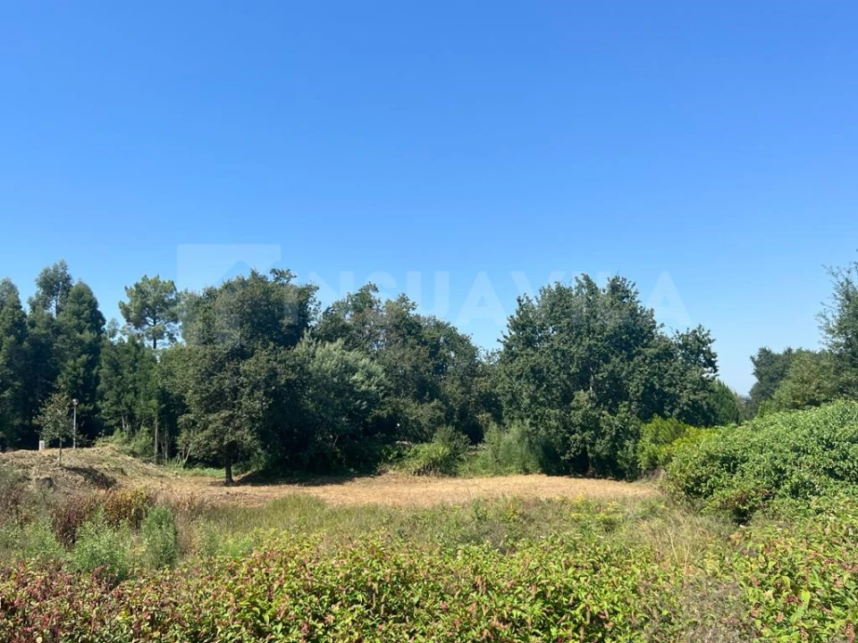 Terreno para Venda em Venade e Azevedo Foto 20
