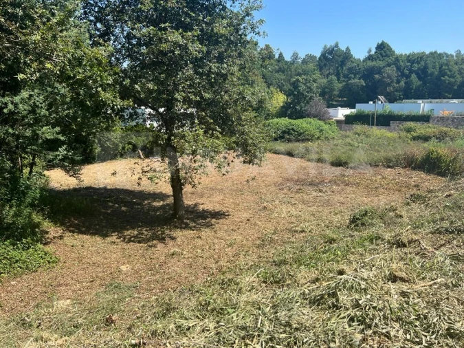 Terreno para Venda em Venade e Azevedo Foto 4