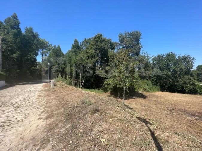 Terreno para Venda em Venade e Azevedo Foto 15
