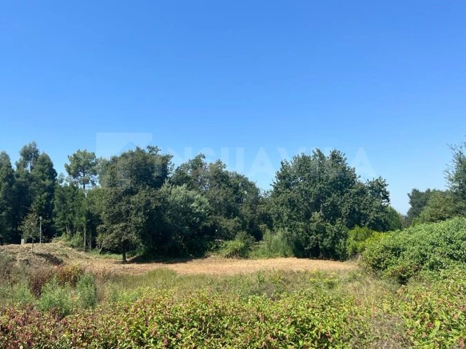Terreno para Venda em Venade e Azevedo Foto 20