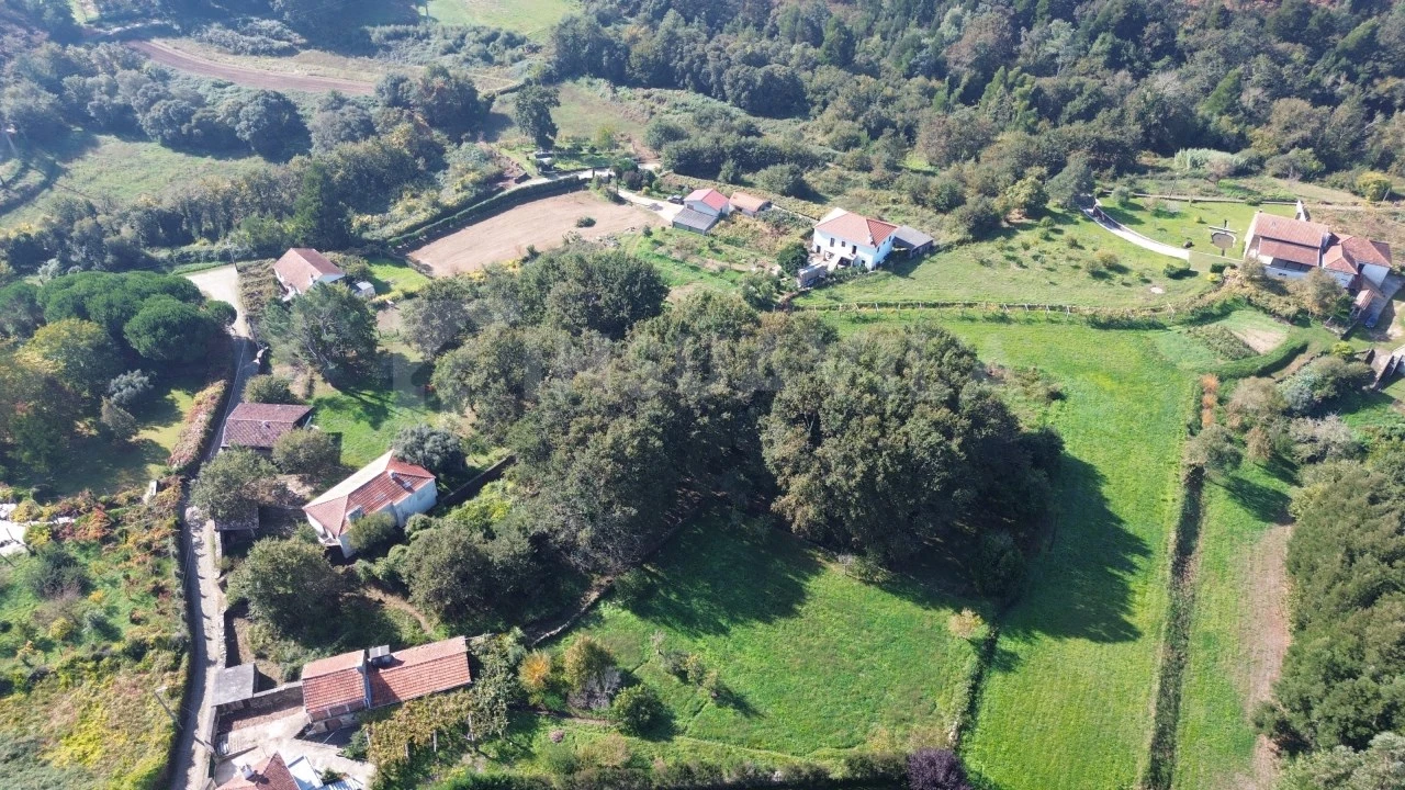 Quinta T1 para Venda em Venade e Azevedo Foto 7