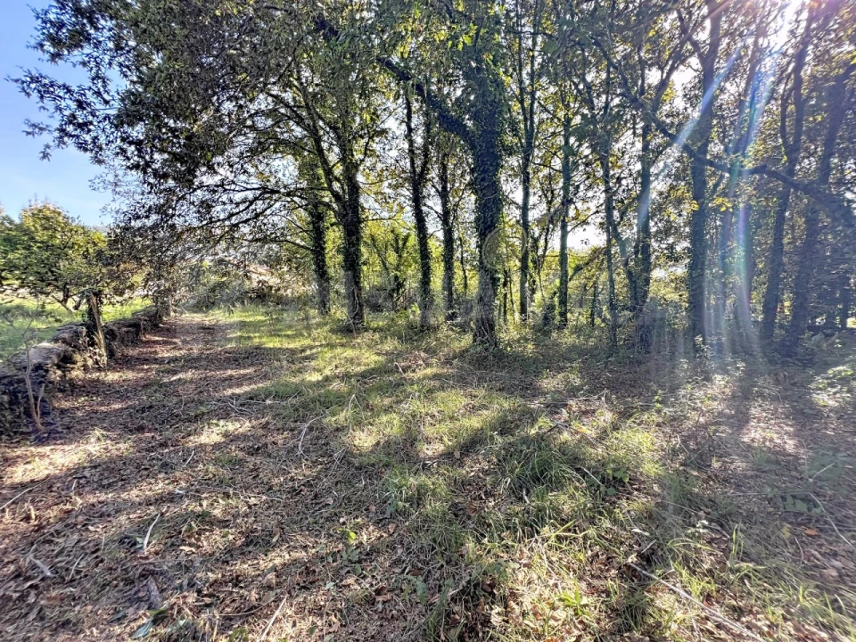 Quinta T1 para Venda em Venade e Azevedo Foto 11