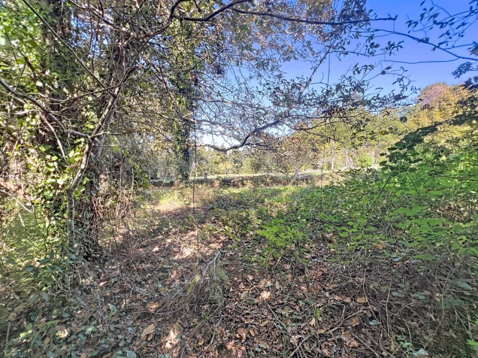 Quinta T1 para Venda em Venade e Azevedo Foto 13