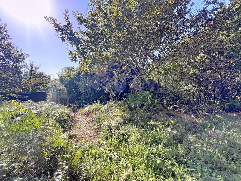 Quinta T1 para Venda em Venade e Azevedo Foto 18