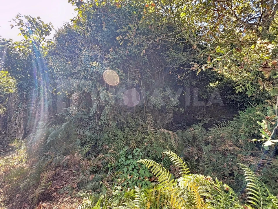 Quinta T1 para Venda em Venade e Azevedo Foto 19