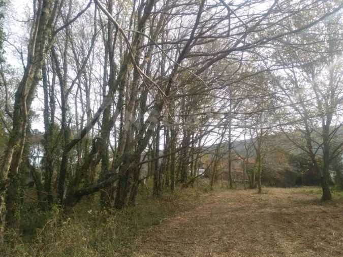 Quinta T1 para Venda em Venade e Azevedo Foto 24