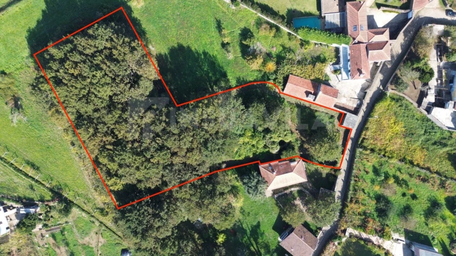 Quinta T1 para Venda em Venade e Azevedo Foto 2