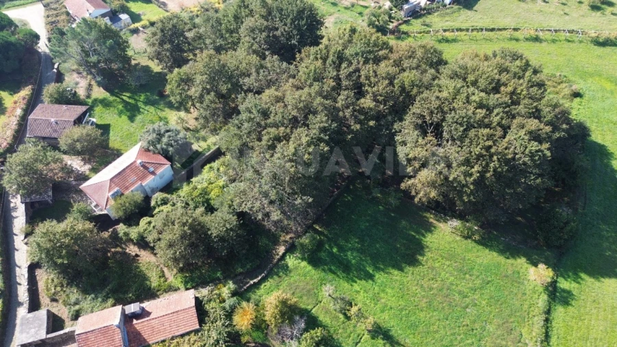 Quinta T1 para Venda em Venade e Azevedo Foto 8