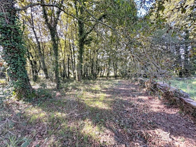 Quinta T1 para Venda em Venade e Azevedo Foto 9