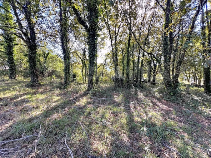 Quinta T1 para Venda em Venade e Azevedo Foto 12