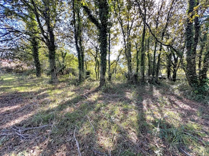 Quinta T1 para Venda em Venade e Azevedo Foto 14