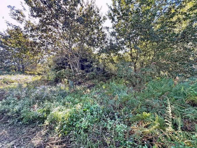 Quinta T1 para Venda em Venade e Azevedo Foto 17